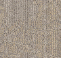 Ковровая плитка Milliken Arctic Survey shk 121-48 True North фото 1 | FLOORDEALER